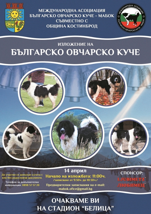Българските овчарски кучета ще си дадат среща в Костинброд