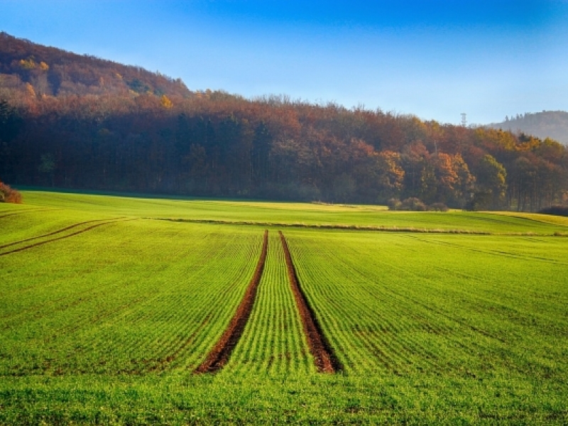 Изготвени са предварителните регистри на земеделските земи в Своге за стопанската 2019/2020 г.