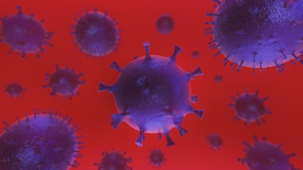 Вирусът стигна нови две области, общият брой на заразените у нас е 264
