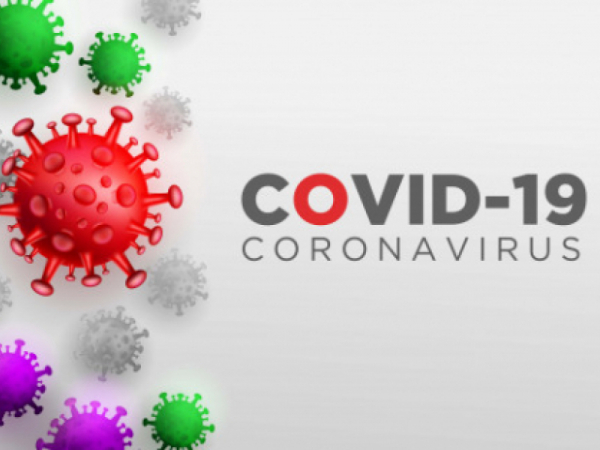 204 са новите случаи на коронавирусна инфекция, потвърдени у нас през изминалото денонощие