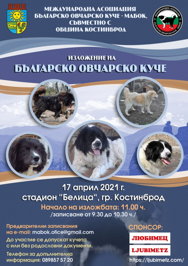 Български овчарски кучета ще дефилират в Костинброд