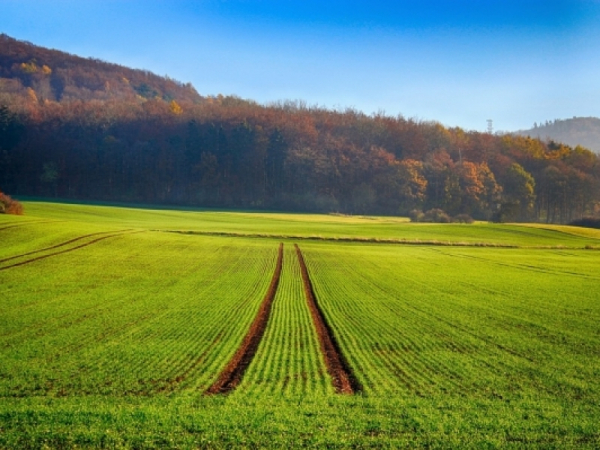 Изготвени са предварителните регистри на земеделските земи в Своге за стопанската 2020/2021 г.