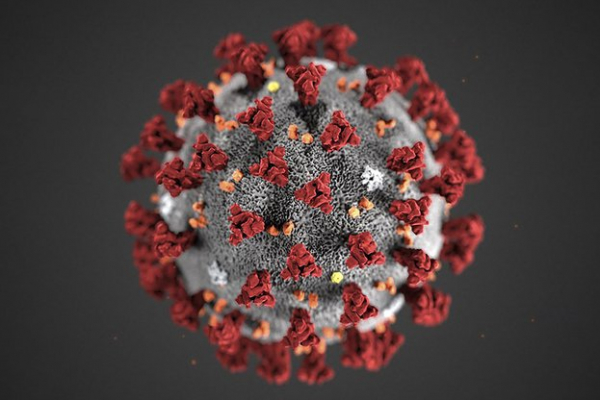 6 007 са новодиагностицираните с коронавирусна инфекция лица у нас през последното денонощие