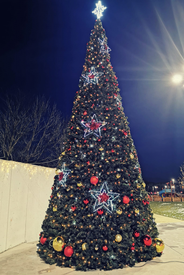 Светлините на Коледната елха ще огреят Божурище на 7 декември