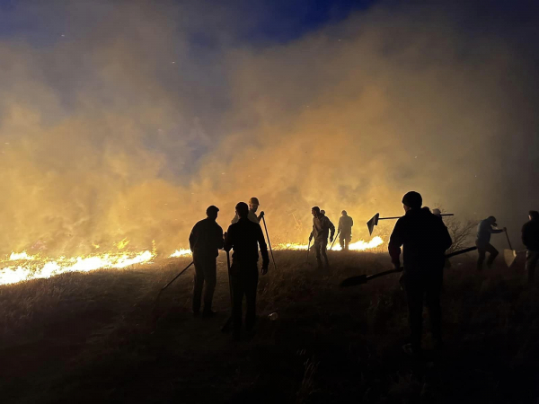 Община Костинброд: Пожарът в Понор е овладян