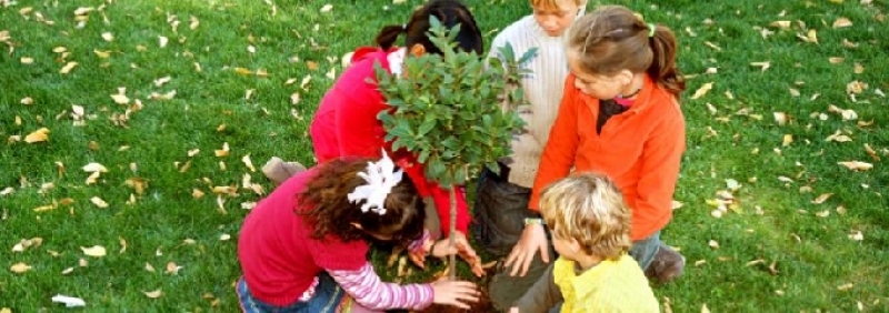 „Хиляда дървета за децата на България\