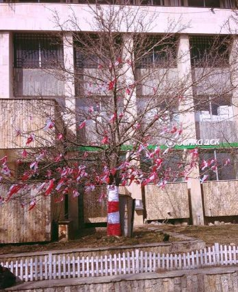 С дърво-мартеница, община Драгоман поздравява жителите и гостите на града за 1-ви март
