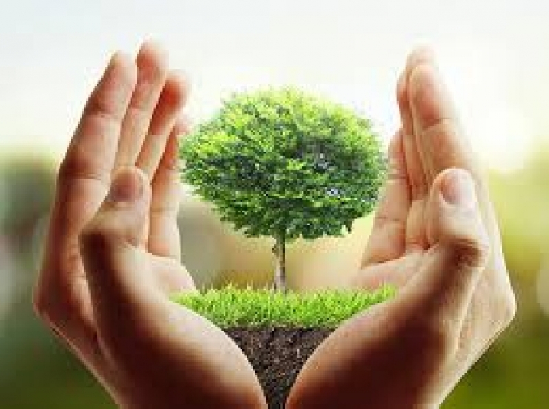 100 дървета ще бъдат засадени в Божурище на Благовещение