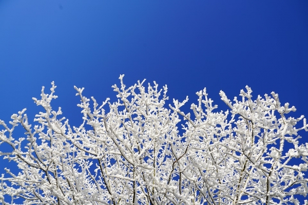 От -18° до 15° ни очакват през първия месец на 2019-а