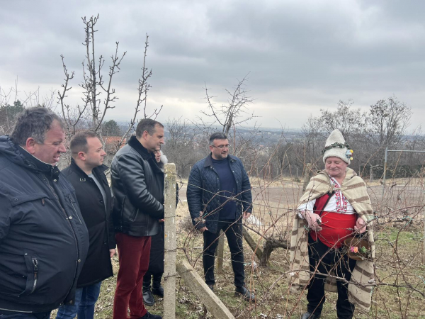 В община Костинброд почетоха празника на лозарите